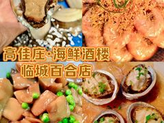 -高佳庄·海鲜酒楼(临城百合店)