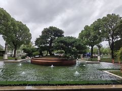 -上海宝华万豪酒店