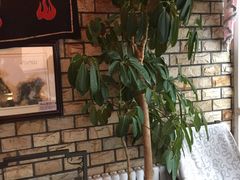-慢丽江·云南野生菌土鸡锅(付家庄店)