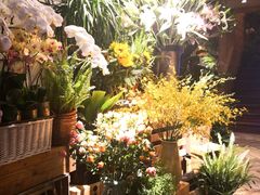 -春暖花开(西溪店)