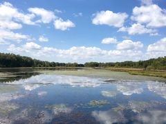 -塞罕坝国家级自然保护区