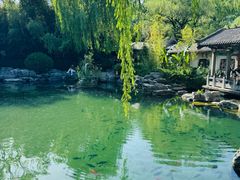 -趵突泉景区