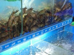-星记小馆·小蓝龙·老南京砂锅菜(上海路店)