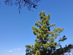 -帽儿山国家森林公园