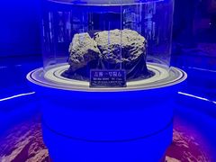 -吉林市博物馆