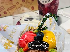 掌心花园冰淇淋-哈根达斯(红谷滩万达店)