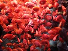 -波塞冬旅游度假区