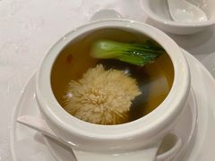羊肚菌炖绣球-酌宴府The China Club·广州万富希尔顿酒店(云城东路店)