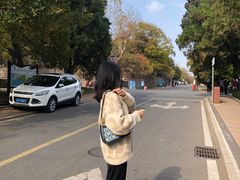 -八大关景区