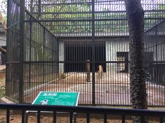 -广东茂名森林公园