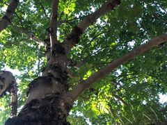 -汕头大学-图书馆