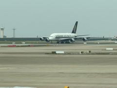 -上海浦东国际机场-T2航站楼