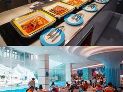 -帝企鹅自助餐厅•儿童岛•真企鹅(长隆企鹅酒店)