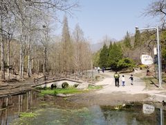 -白水寺森林公园