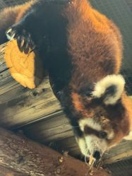 -Zoolung Zoolung动物主题公园(海信广场店)