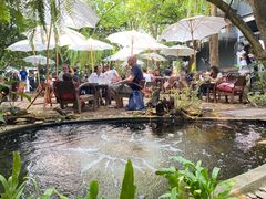 -Fern Forest Cafe