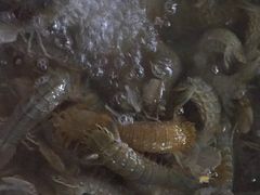 -启东小海鲜(庄先湾路1号店)