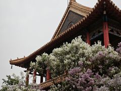 -哈尔滨极乐寺