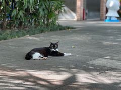 -晓港公园