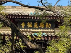-大慈恩寺(大雁塔)