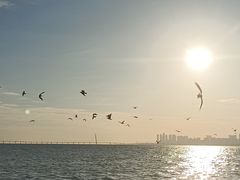 -深圳湾公园(南山区)