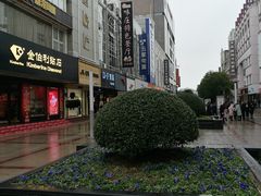 -沙洲路步行街(长安南路店)