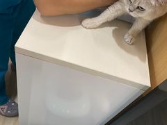 -pd派德宠物中心医院24H急重症·眼科中心·血液透析中心(嵩山北路店)