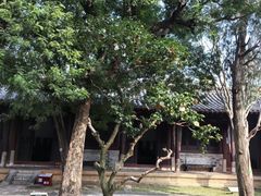 -建水文庙