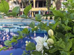 -亚龙湾海底世界