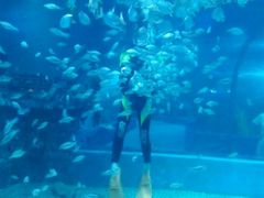 -邯郸海洋世界