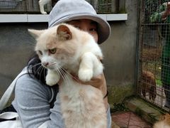 -成都爱之家动物救助中心