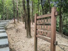 -火炉山森林公园