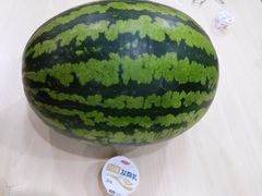 -庞各庄翠芳园西瓜蔬菜基地采摘园