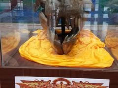 -诸城市恐龙博物馆