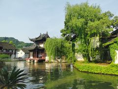 -鲁镇