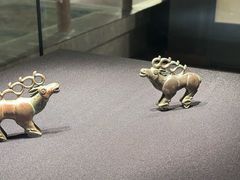 -张掖市博物馆