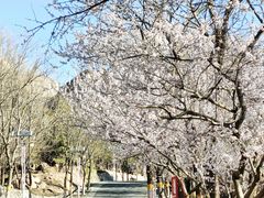 -北京凤凰岭