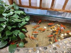 -醉霖生态餐厅(交大店)