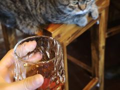 -云端咖啡私房店(河松街店)