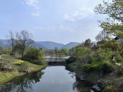 -雅达·阳羡溪山小镇中心