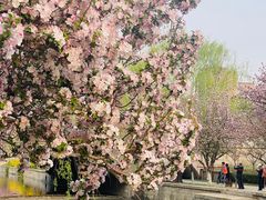 -元大都城垣遗址公园