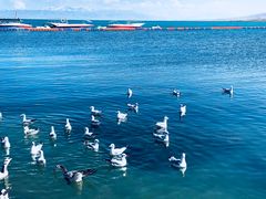 -青海湖国家重点风景名胜区