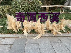 -西溪天堂·悦居