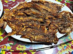 -何适山庄 ·可团建(水长城P2停车场店)