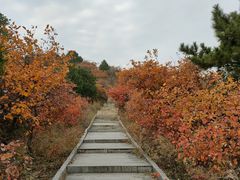 -北京西山国家森林公园