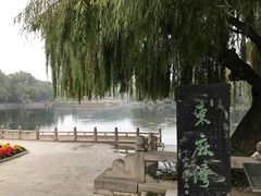 -百脉泉景区