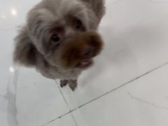 -纳吉亚猫专科动物诊疗中心(蒋宅口分院)