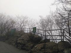 -紫金山山顶公园
