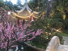 景观位-上海虹桥宾馆味翠餐厅