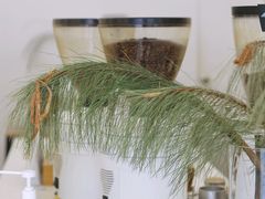 -Onirii Coffee(长乐路店)